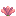 Cactus Flower block image — Cactus flower texture