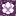 Chorus flower texture