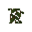 Cave vines plant