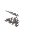 Dead Tube Coral Wall Fan block image