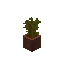 Potted Acacia Sapling block image