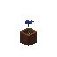 Potted Cornflower block image