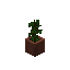 Potted Jungle Sapling block image